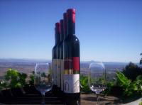 Mount Tamborine Winery & Homestead - Accommodation Batemans Bay 0