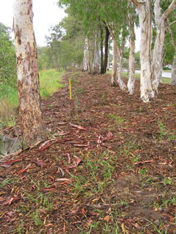 Kumbartcho Sanctuary - Accommodation Batemans Bay 1