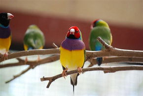 Kyabram Fauna Park - Accommodation Batemans Bay 1