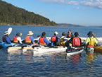 Sydney Harbour Kayaks - Accommodation Batemans Bay 2