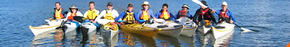 Sydney Harbour Kayaks - Accommodation Batemans Bay 3