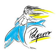 Polperro Dolphin Swims - Accommodation Batemans Bay