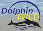 Dolphin Wild - Accommodation Batemans Bay 0