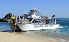Dolphin Wild - Accommodation Batemans Bay 2