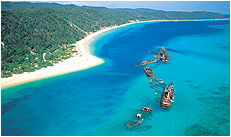 Dolphin Wild - Accommodation Batemans Bay 3