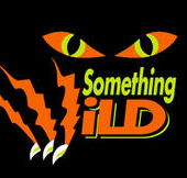 Something Wild - Accommodation Batemans Bay