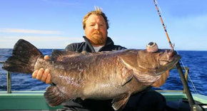 Bravo Fishing Charters - Accommodation Batemans Bay 0