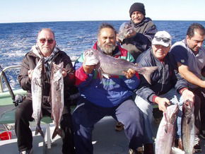 Bravo Fishing Charters - Accommodation Batemans Bay 1