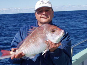 Bravo Fishing Charters - Accommodation Batemans Bay 3
