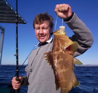 Downunder Charters - Accommodation Batemans Bay