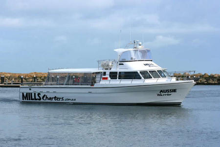 Mills Charters Fishing And Whale Watch Cruises - Accommodation Batemans Bay 1