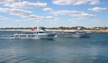 Mills Charters Fishing And Whale Watch Cruises - Accommodation Batemans Bay 2