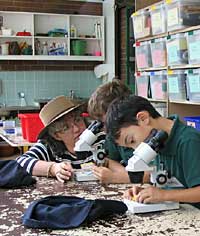 Australian National Botanic Gardens - Accommodation Batemans Bay 2