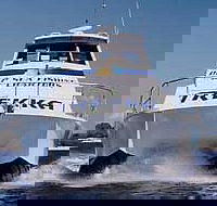 Sunshine Coast Fishing Charters - Accommodation Batemans Bay