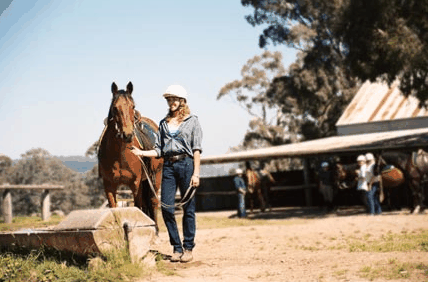 Watsons Trail Rides - Accommodation Batemans Bay