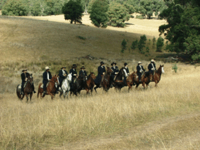 McCormacks Mountain Valley Trail Rides - Accommodation Batemans Bay