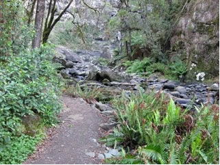 Stevensons Falls - Accommodation Batemans Bay 1