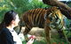 Crocodylus Park - thumb 1