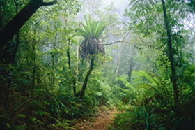 Canungra QLD Accommodation Batemans Bay