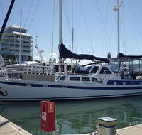 Coral Sea Dreaming Dive and Sail - Accommodation Batemans Bay