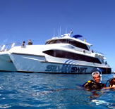 Silver Swift - Accommodation Batemans Bay