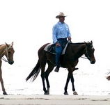 Ride the Beach - Accommodation Batemans Bay
