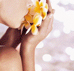Tranquillity Spa  Beauty - Accommodation Batemans Bay