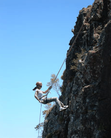 Adventures Around Brisbane - Accommodation Batemans Bay 1