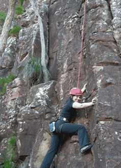 Adventures Around Brisbane - Accommodation Batemans Bay 4
