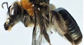 Western Australian Museum - Accommodation Batemans Bay 0