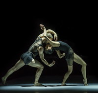 Sydney Dance Company - Accommodation Batemans Bay