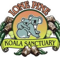 Lone Pine Koala Sanctuary - Accommodation Batemans Bay