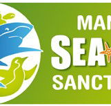 Manly SEA LIFE Sanctuary - Accommodation Batemans Bay