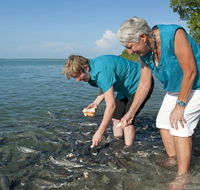 Aquascene Fish Feeding Sanctuary - Accommodation Batemans Bay