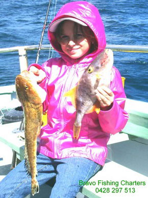 Bravo Fishing Charters - Accommodation Batemans Bay 5