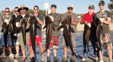 BKs Gold Coast Fishing Charters - Accommodation Batemans Bay 1