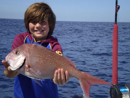 Mills Charters Fishing And Whale Watch Cruises - Accommodation Batemans Bay 4