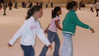 Hunter Ice Stadium - Accommodation Batemans Bay 4