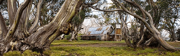 High Country Scenic Tours - Accommodation Batemans Bay