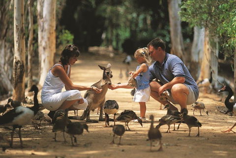 Billabong Sanctuary - Accommodation Batemans Bay 0