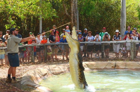 Billabong Sanctuary - Accommodation Batemans Bay 2