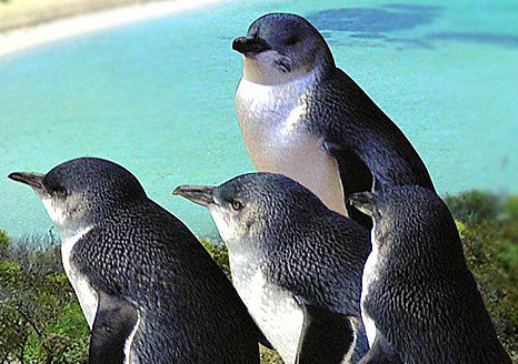  Accommodation Batemans Bay