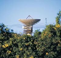 Big Dish - Accommodation Batemans Bay
