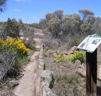 Christmas Rock Walk - Accommodation Batemans Bay