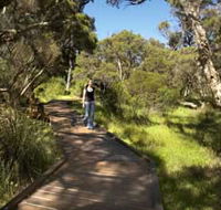 Leschenault Peninsula Conservation Park - Accommodation Batemans Bay