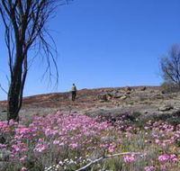 Talgomine Reserve - Accommodation Batemans Bay