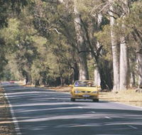 Ludlow Tuart Forest - Accommodation Batemans Bay