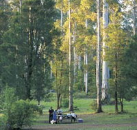 Big Brook Arboretum - Accommodation Batemans Bay
