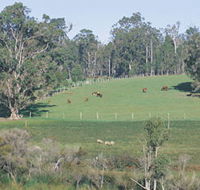 Scenic Drives - Bunbury Collie Donnybrook - Accommodation Batemans Bay