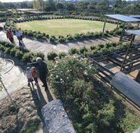 Kojonup Rose Maze - Accommodation Batemans Bay